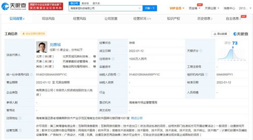 互聯(lián)網(wǎng)游戲服務(wù) 連接、沉浸與變革